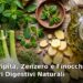 Menta piperita, zenzero fresco e semi di finocchio come digestivi naturali contro il gonfiore addominale