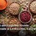 Il potere dei legumi: ciotole con lenticchie, ceci e fagioli secchi e cotti, guida nutrizionale completa