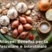 Aglio, cipolle rosse, porri ed erba cipollina freschi, famiglia delle alliacee benefiche per vasi sanguigni e intestino