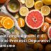 Arance, limoni, pompelmi e mandarini freschi, agrumi ricchi di flavonoidi che sostengono i processi depurativi dell'organismo