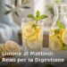 Bicchiere d'acqua con fette di limone e menta su un piano cucina illuminato dal sole del mattino