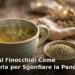 Tazza di tisana al finocchio con semi di finocchio
